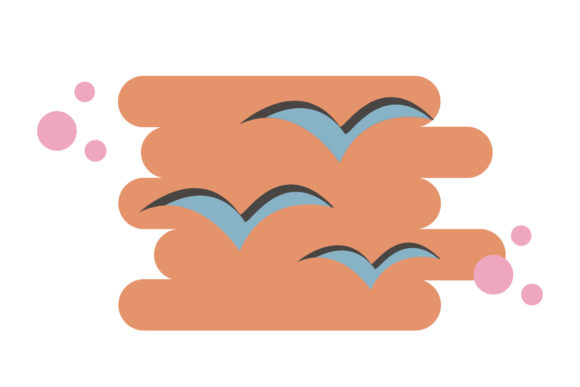Download Summer Design Bird Beach - Summer design Collection