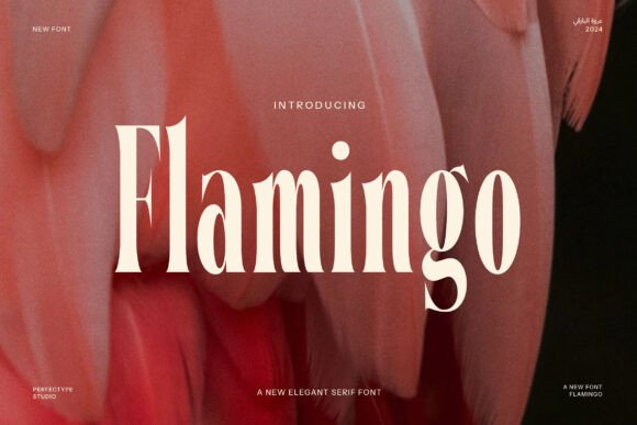 Download Flamingo - Premium Resources